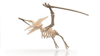 imagem do arquivo vetor para download Pterodáctilo de MDF Quebra cabeça