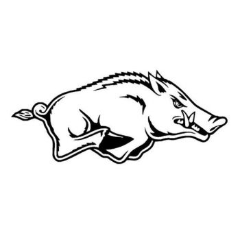 imagem do arquivo vetor para download Arkansas Razorback