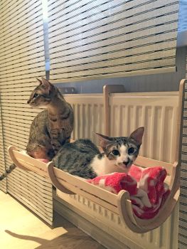 imagem do arquivo vetor para download Cama de Gato Montada na Parede Cortada a Laser