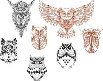 imagem do arquivo vetor para download Coleção de Desenhos de Coruja
