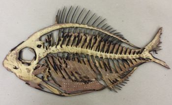 imagem do arquivo vetor para download Decoração de Parede de Peixe em Decadência