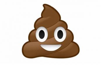 imagem do arquivo vetor para download Emoji fezes