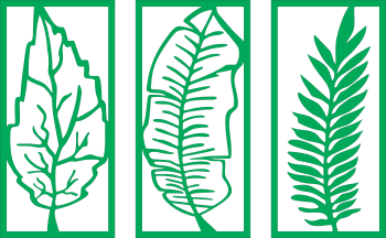 imagem do arquivo vetor para download Quadro decorativo De folhas de planta
