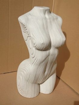 imagem do arquivo vetor para download Torso feminino de madeira em camadas