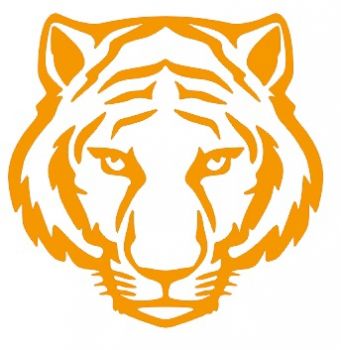 imagem do arquivo vetor para download Vetor de Tigre