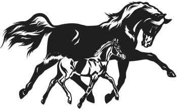 imagem do arquivo vetor para download Vetor de cavalo