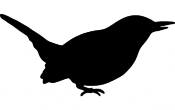 imagem do arquivo vetor para download Vetor de passarinho