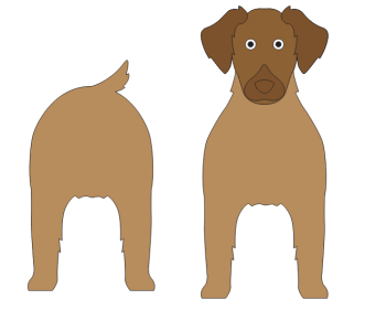 imagem do arquivo vetor para download Caixa Cão Aussiedor