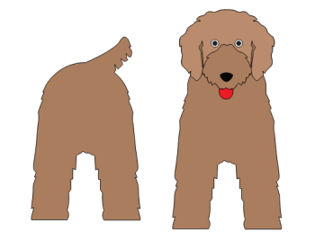 imagem do arquivo vetor para download Caixa cão Cavapoo