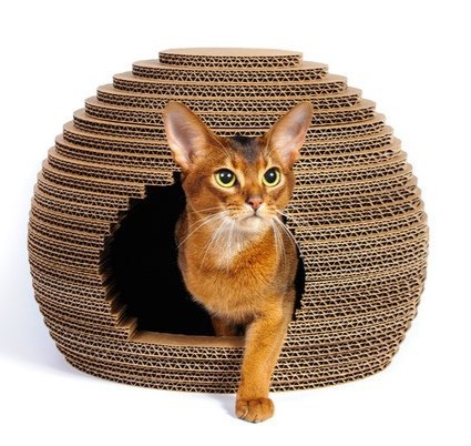 imagem do arquivo vetor para download Casa de Gato Hive