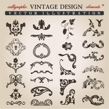 imagem do arquivo vetor para download Elementos de Design Vintage Caligráfico