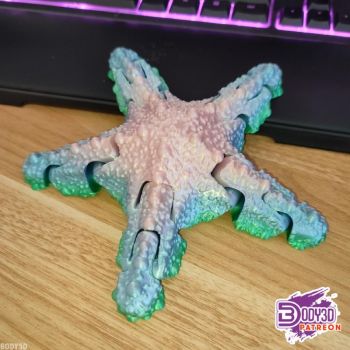 imagem do arquivo vetor para download Estrela do mar articulável 3d