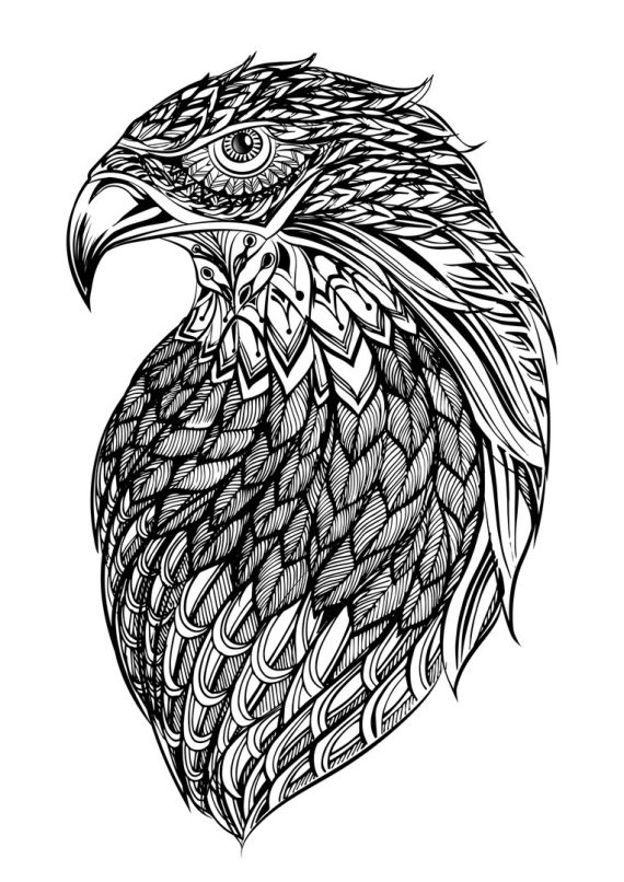 imagem do arquivo vetor para download Mandala de Águia