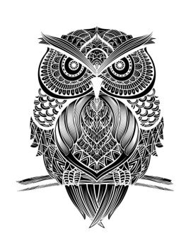 imagem do arquivo vetor para download Mandala de Coruja