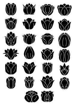 imagem do arquivo vetor para download Vetores de Flores