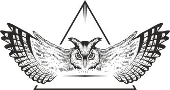 imagem do arquivo vetor para download Design de Coruja
