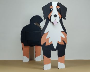 imagem do arquivo vetor para download Caixa Cão Boiadeiro de Berna