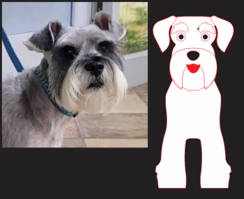 imagem do arquivo vetor para download Caixa Cão Schnauzer miniatura